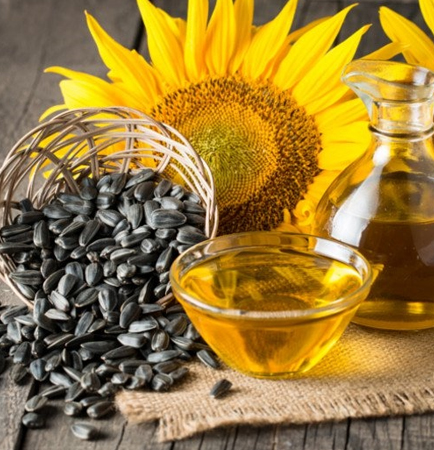 Sunflower seed processing machine for high-quality edible oil production