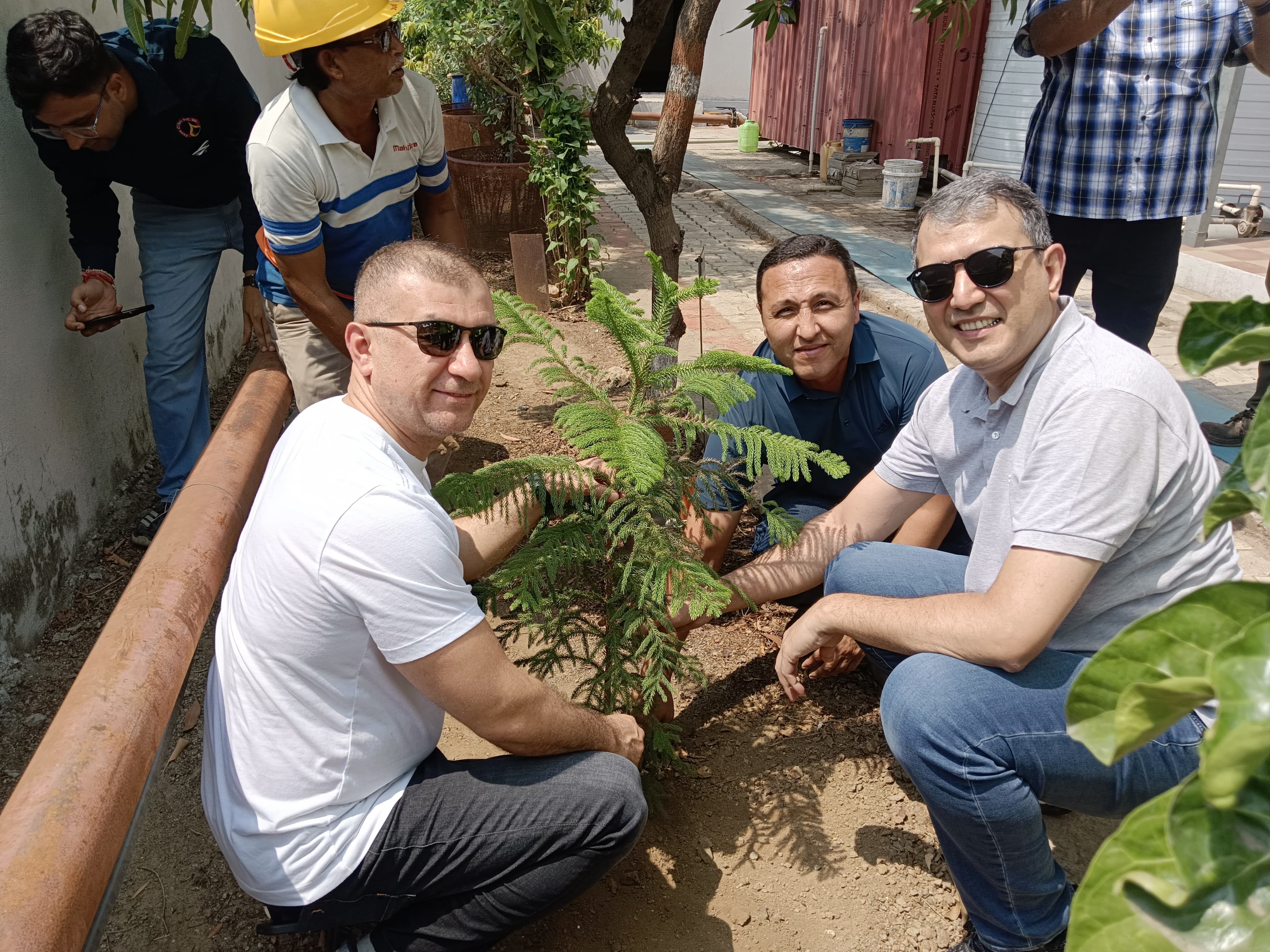 Tree Plantation Drive at Ferro Oiltek Pvt. Ltd., Malkapur