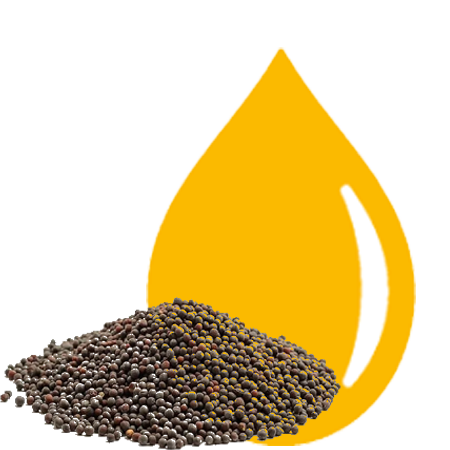 Ferrooiltek Cotton Seed