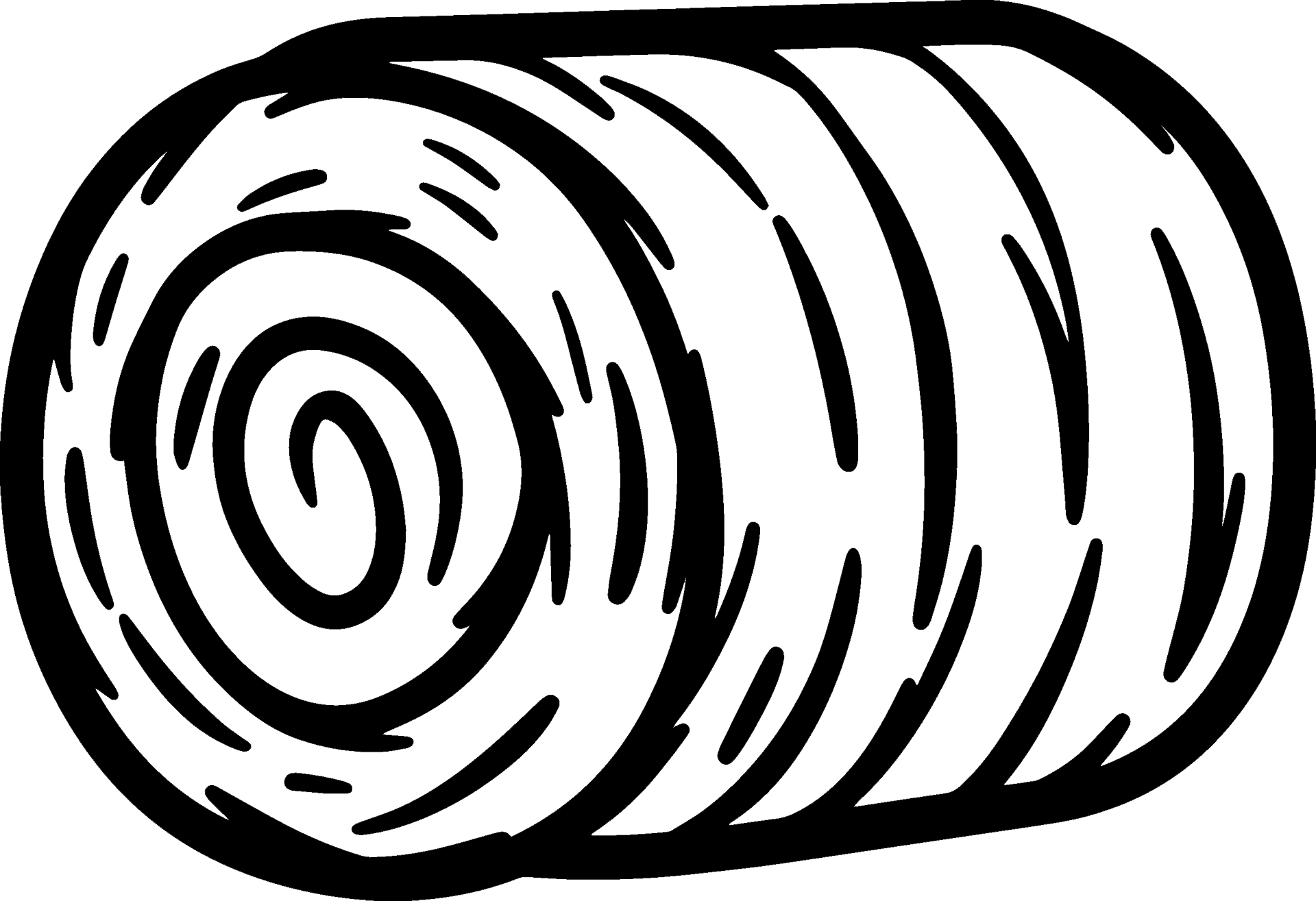 Flakeador de Sementes Oleaginosas Comestíveis de Alto Desempenho